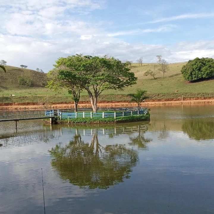 Uma imagem do fim de tarde da nossa lagoa 💚 Estaremos abertos para pesca nesses dias 30 e 31/12  #vemprafazenda #fazendadasflores #pescaesportiva #formigamg